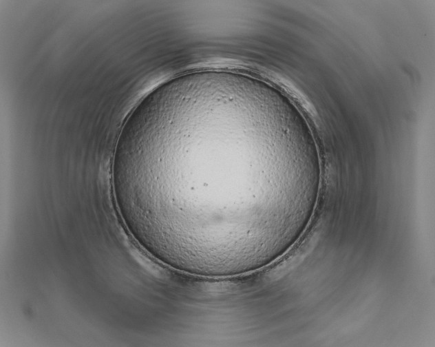 X0000112781425200909031621