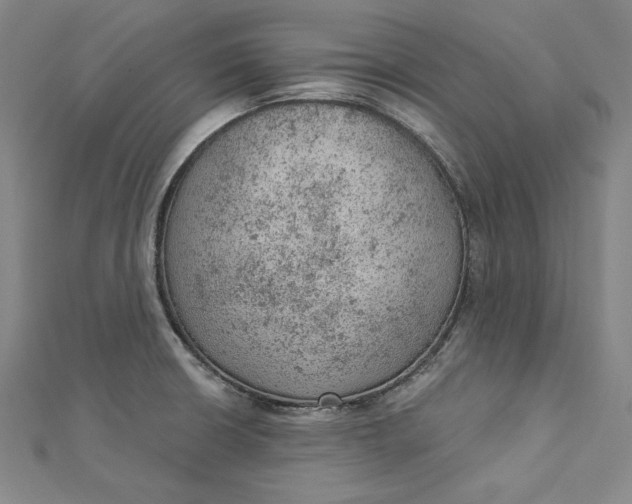 X0000112781426200909031621