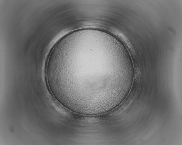 X0000112781427200909031621