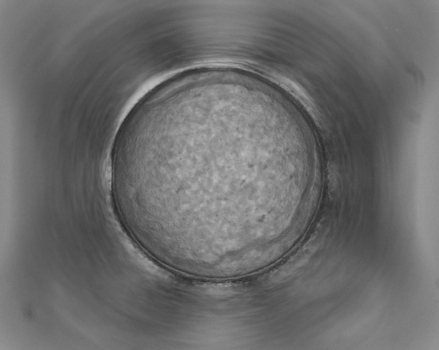 X0000112781428200909031621