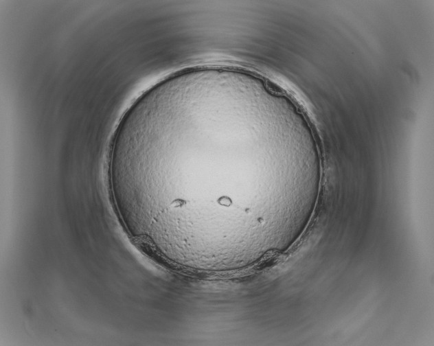 X0000112781429200909031621