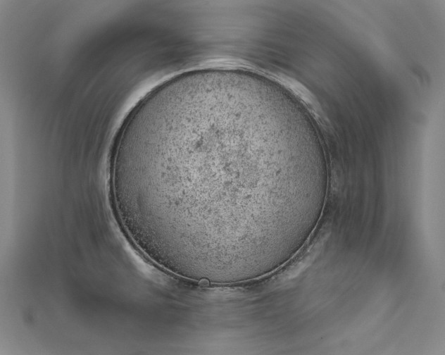 X0000112781430200909031621