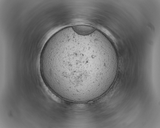 X0000112781431200909031621