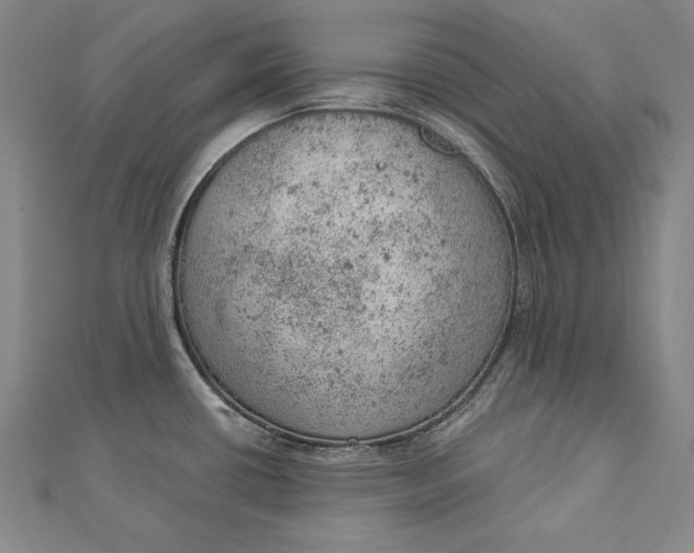 X0000112781434200909031621