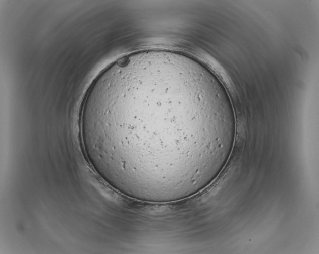 X0000112781435200909031621