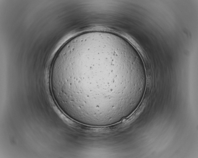 X0000112781438200909031621