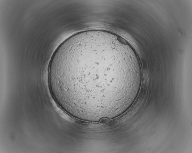 X0000112781439200909031621