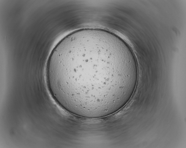 X0000112781440200909031621