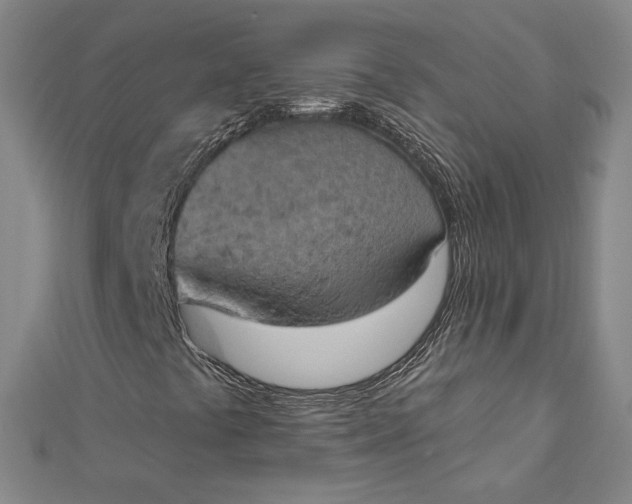 X0000112781441200909031620