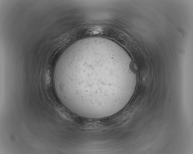 X0000112781442200909031620