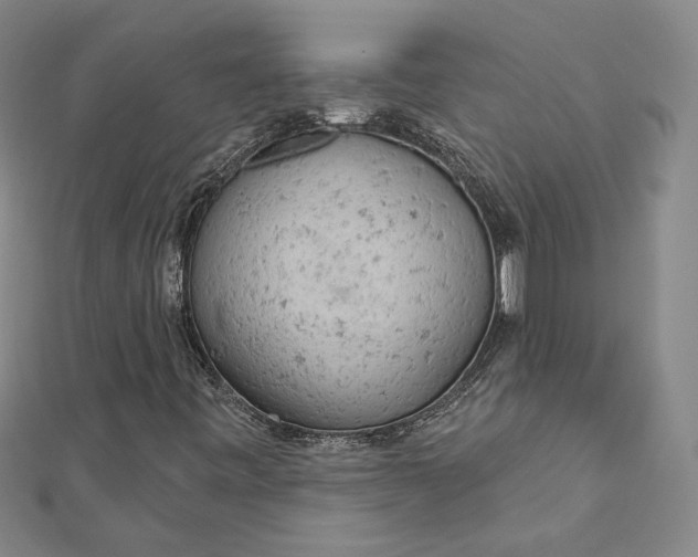 X0000112781443200909031620