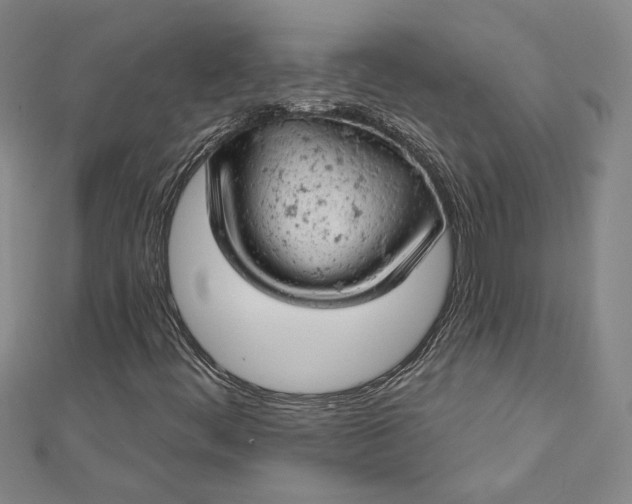 X0000112781444200909031620