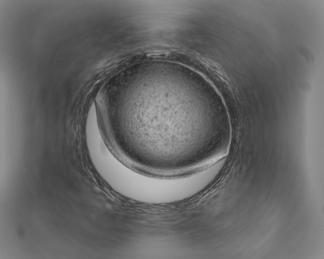 X0000112781445200909031620