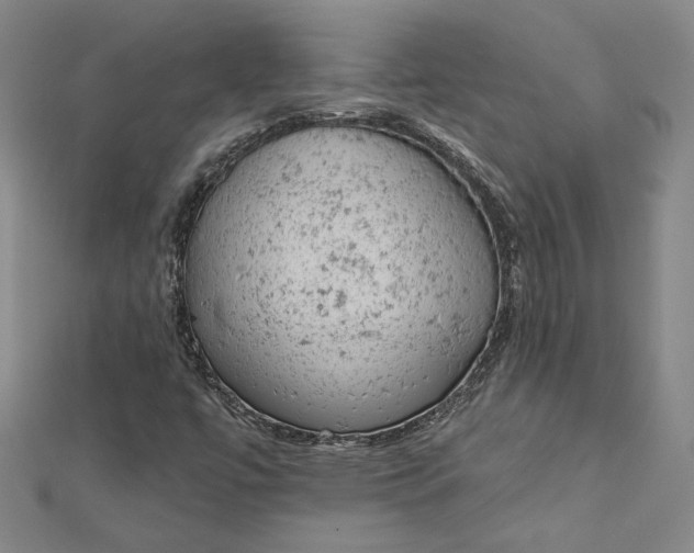 X0000112781447200909031620