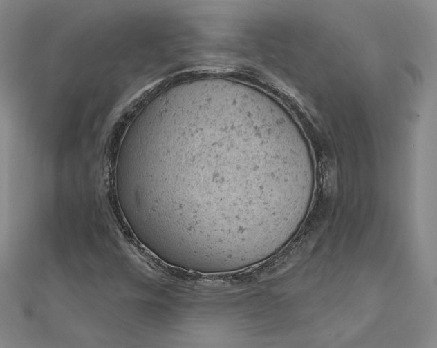 X0000112781448200909031620