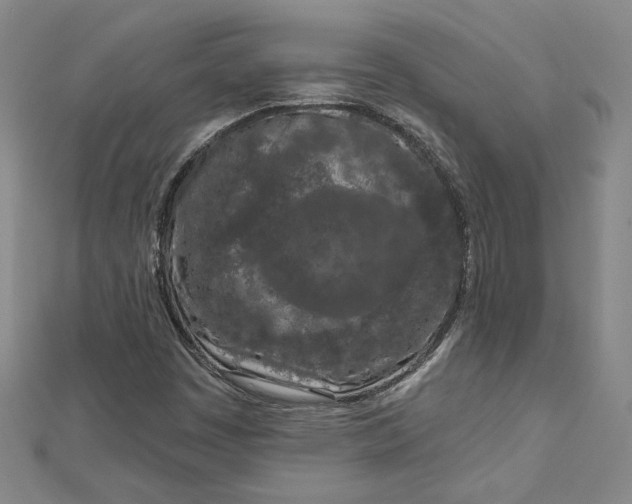 X0000112781449200909031620