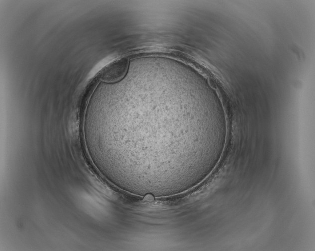 X0000112781450200909031620