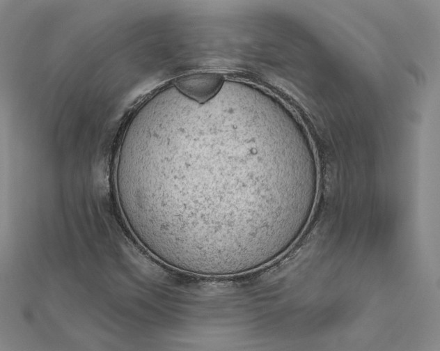 X0000112781451200909031620