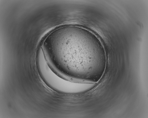 X0000112781452200909031620