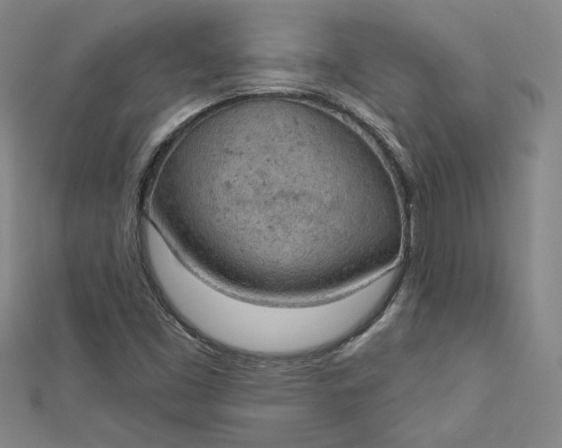 X0000112781453200909031620