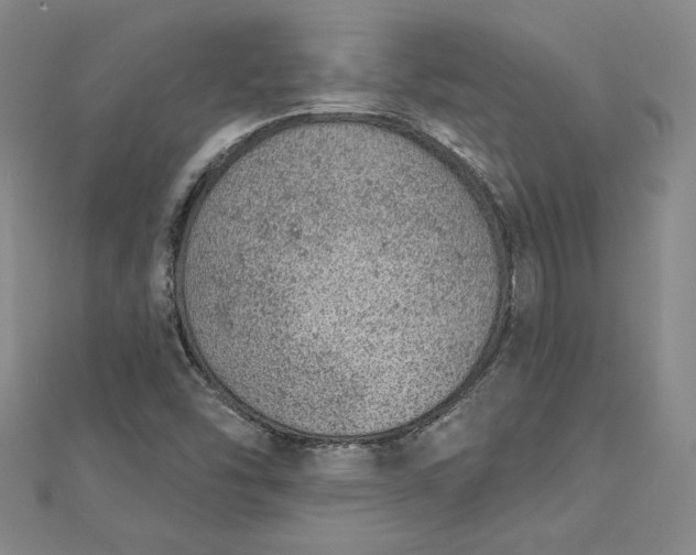 X0000112781454200909031620