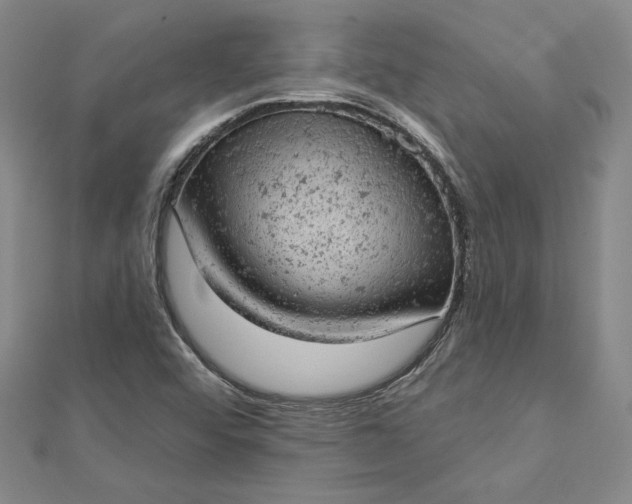 X0000112781456200909031620