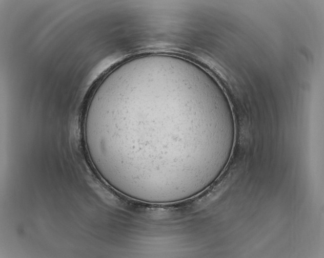 X0000112781458200909031620