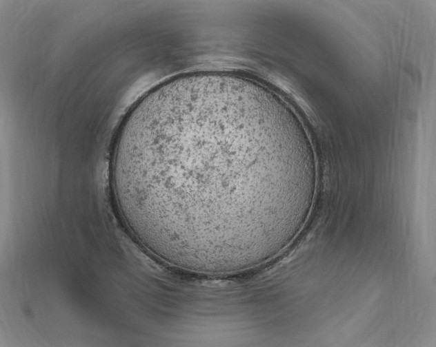 X0000112781459200909031620