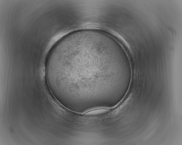 X0000112781461200909031620