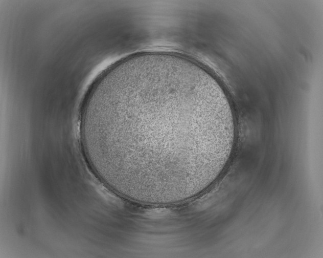 X0000112781462200909031620