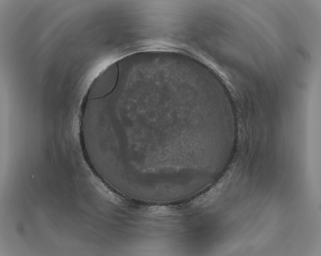 X0000112781463200909031620