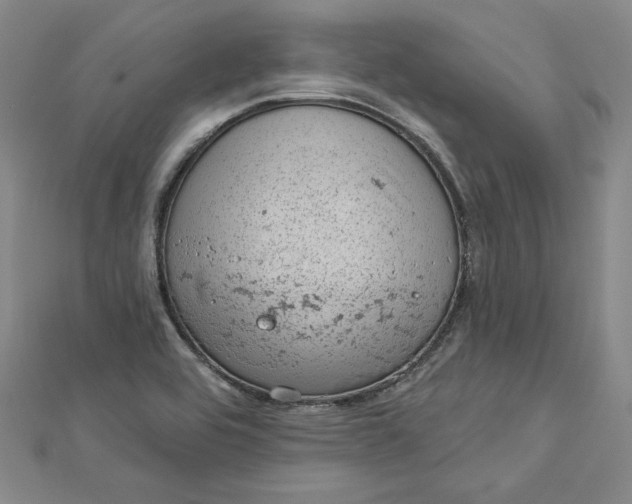 X0000112781464200909031620