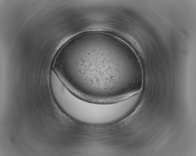 X0000112781465200909031620