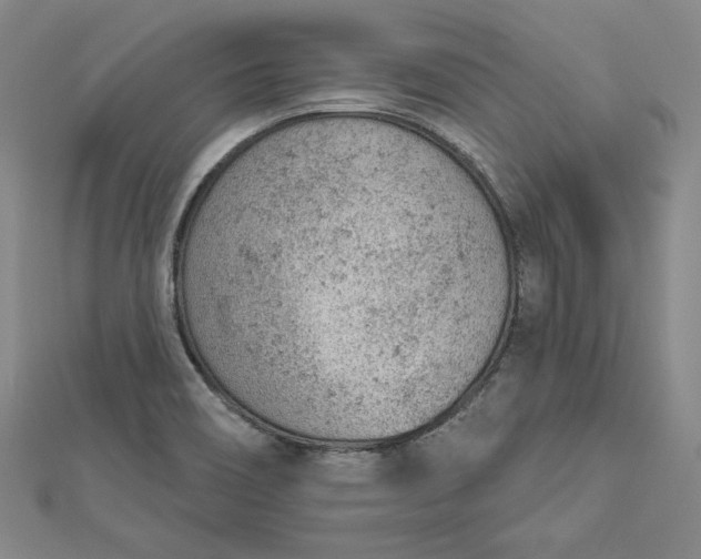 X0000112781466200909031620