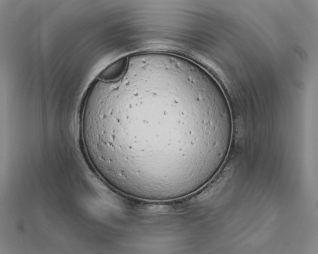 X0000112781467200909031620