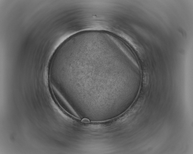 X0000112781468200909031620