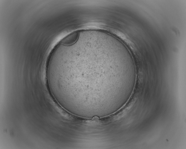 X0000112781469200909031620