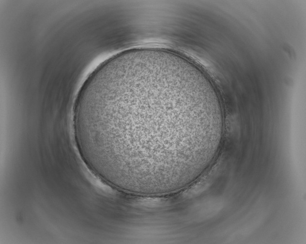 X0000112781470200909031620