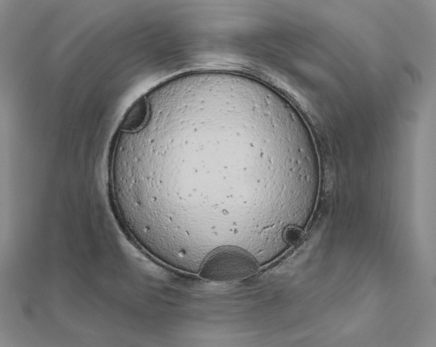 X0000112781471200909031620