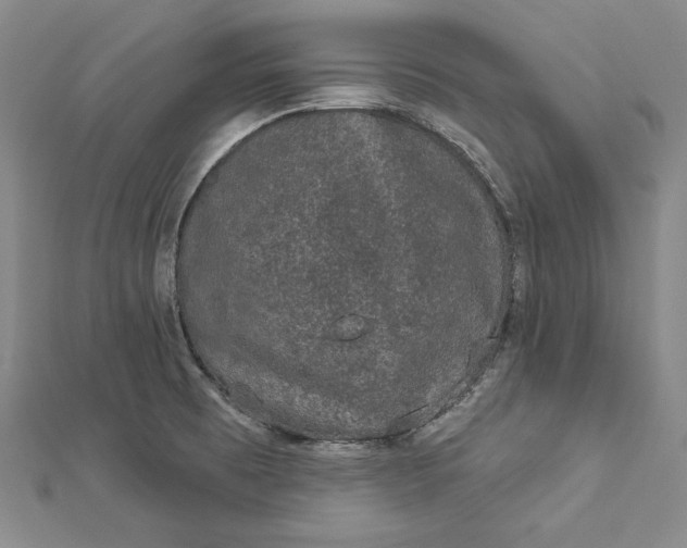 X0000112781473200909031620