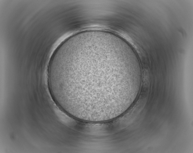 X0000112781474200909031620