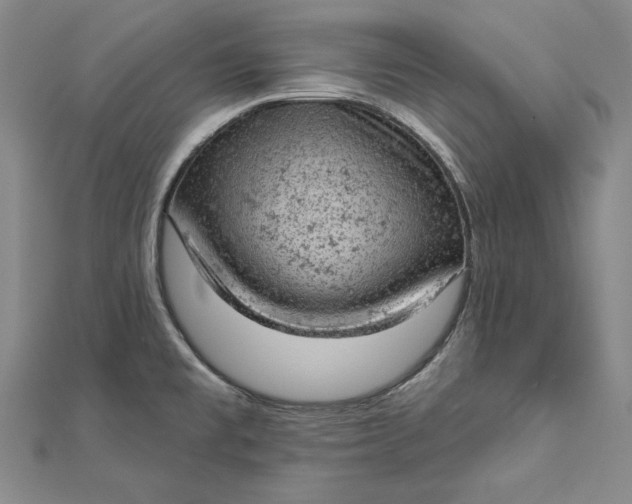 X0000112781477200909031620