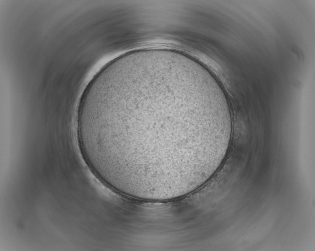 X0000112781478200909031620