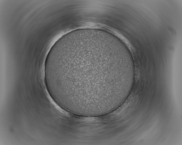 X0000112781479200909031620