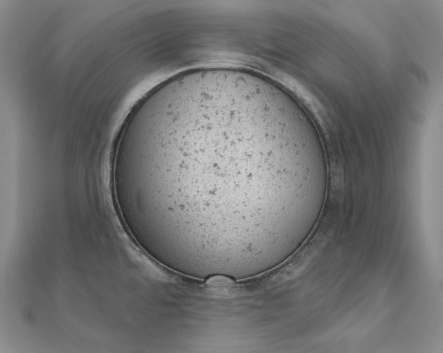 X0000112781480200909031620