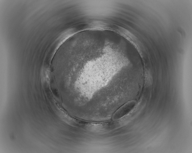 X0000112781481200909031620