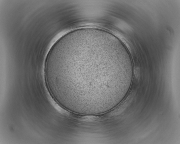 X0000112781482200909031620