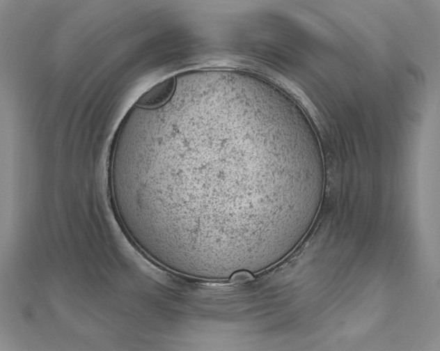 X0000112781483200909031620