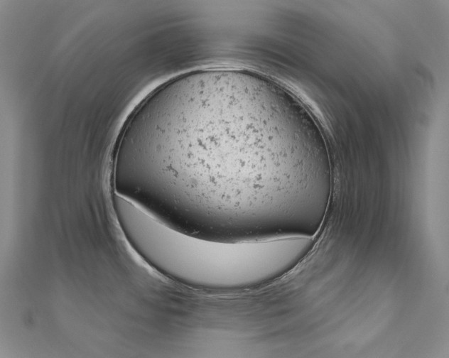 X0000112781484200909031620