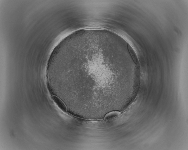 X0000112781485200909031620